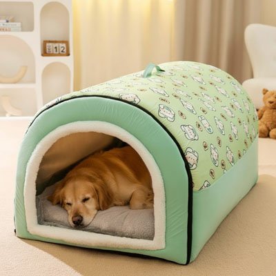 toutou dans niche d' intérieur chien avec motifs coordonnés
