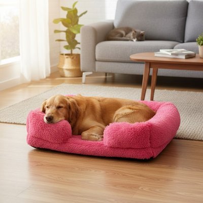toutou dans panier chien ergonomique 