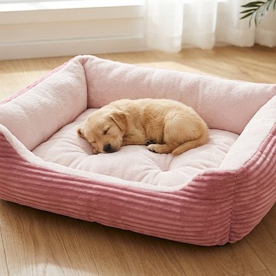 toutou dans Panier orthopédique pour Chien