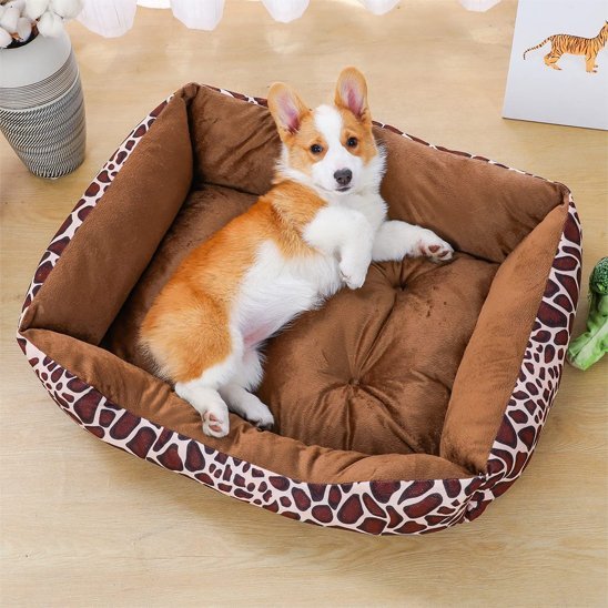 toutou détendu dans  panier pour chien marron 