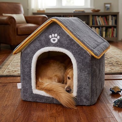 Toutou dort dans maison pour chien en matière pelucheuse 
