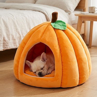 toutou dort dans niche chien intérieur en forme citrouille