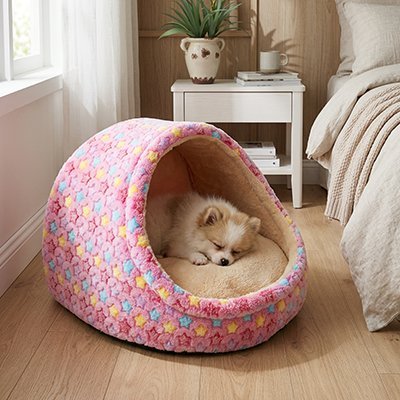 toutou dort dans panier pour Chien 