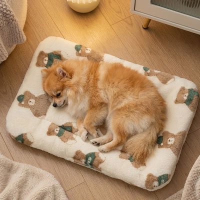 toutou dort sur tapis pour Chien bordure arrondie 