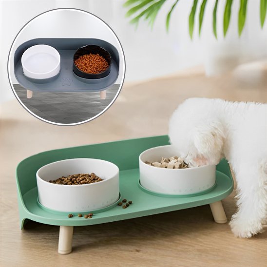 toutou mange dans Gamelle chien 