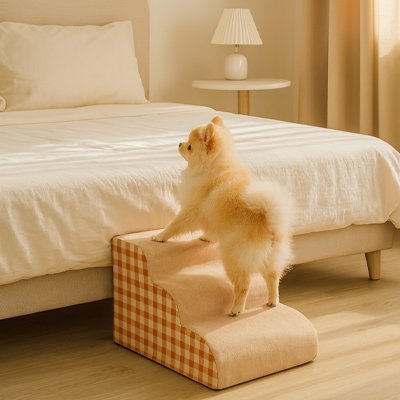 toutou monter dans Escalier en mousse pour chien