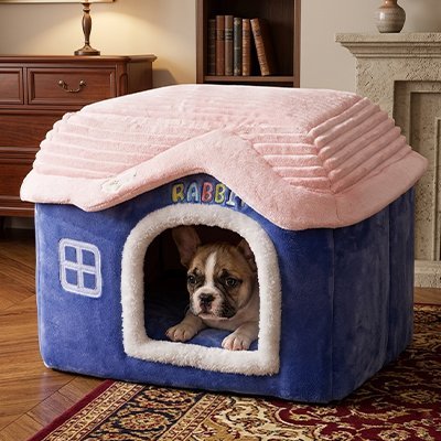 toutou observe par cabane confortable d'intérieur pour  Chien 