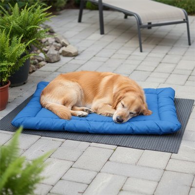 toutou se repose sur couchage  Chien tissu imperméable
