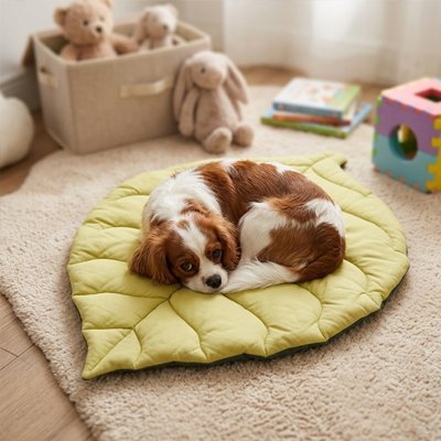 toutou sur Tapis Chien épais 