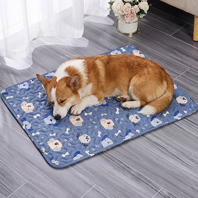 toutou sur Tapis Chien rafraichissant dans salon 