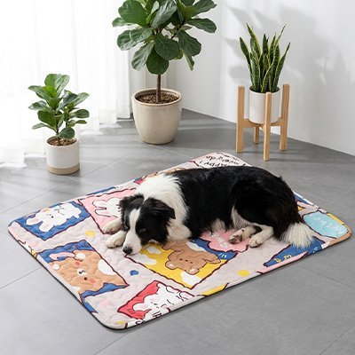 toutou sur Tapis rafraichissant  Chien multifonction 