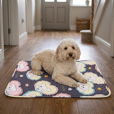 toutou sur Tapis rafraichissant Chien respirant 