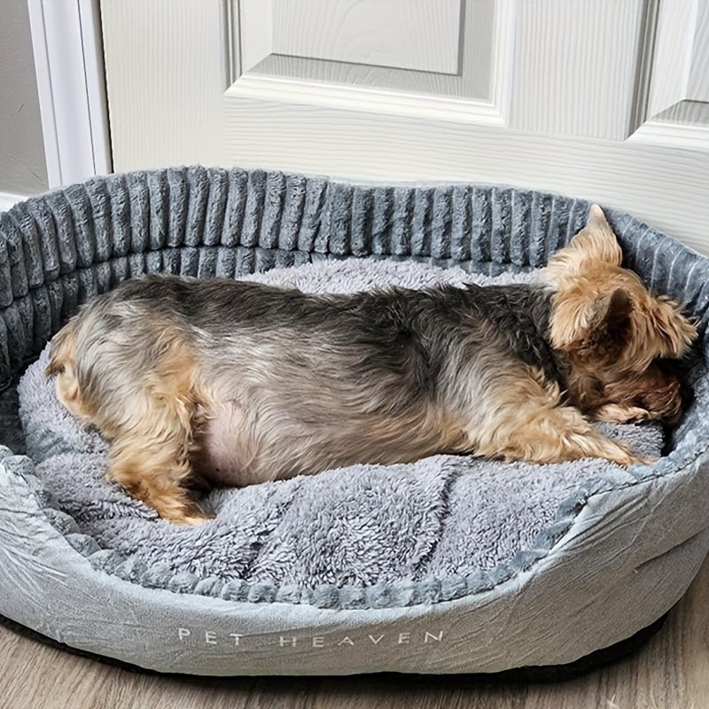 toutou dans canape pour chien en velours gris
