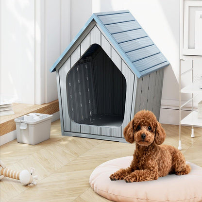 toutou a cote de cabane pour chien