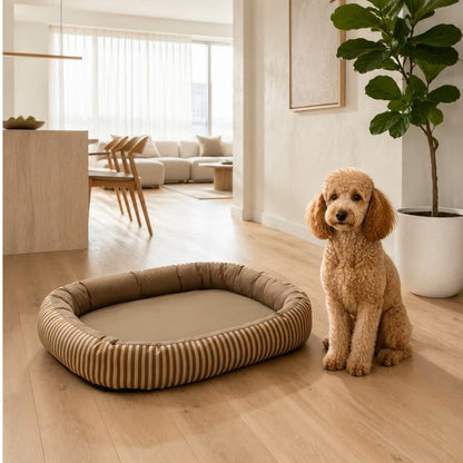 toutou a cote de meilleur coussin orthopédique pour chien a rayure
