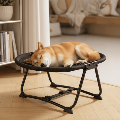 toutou adouci dans lit pour chien surélevé  pliable