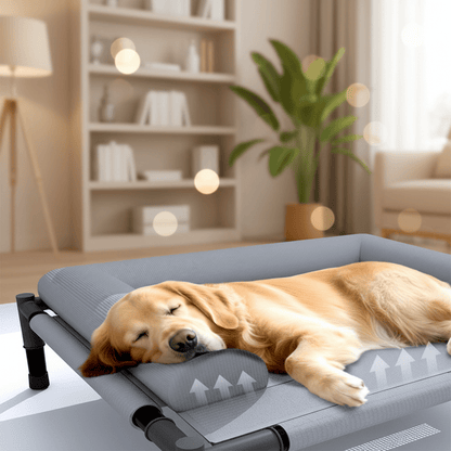 toutou adouci la tête sur coussin de lit surélevé pour grand chien 