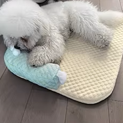 toutou adouci sur tapis orthopédique pour chien doux