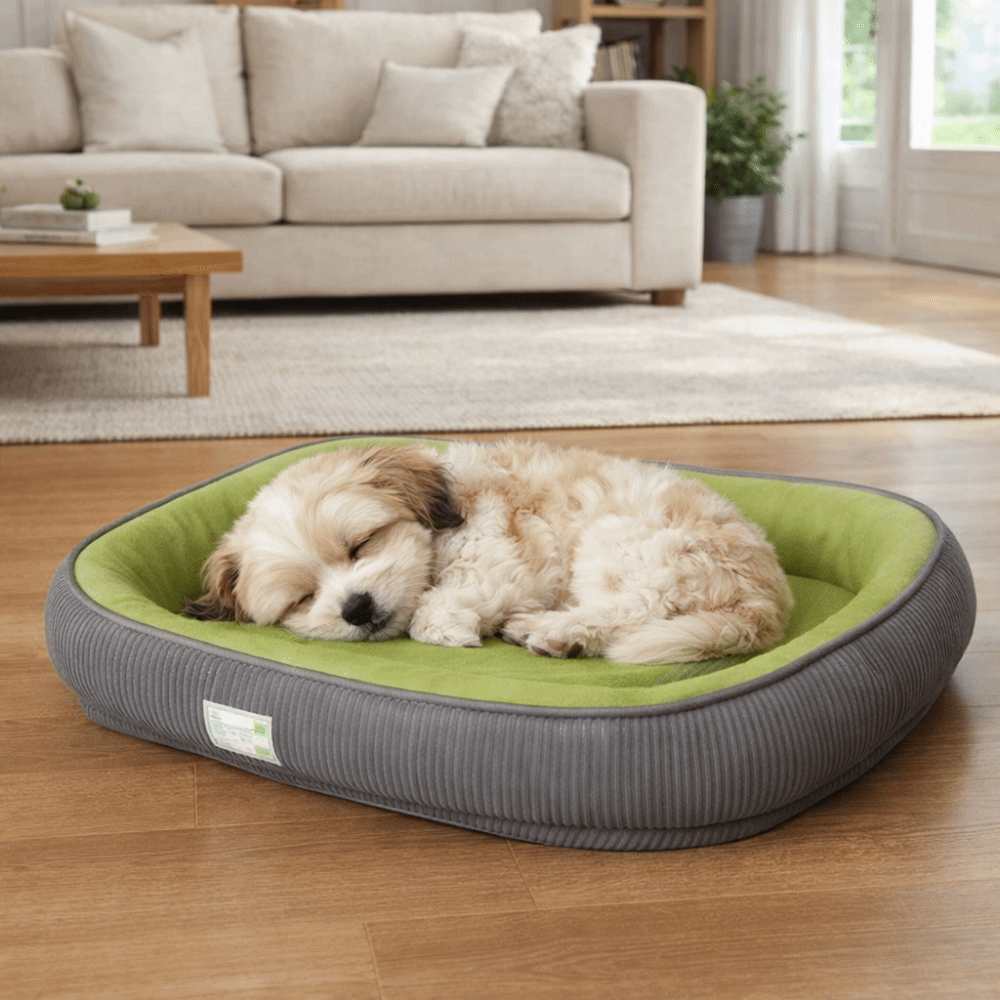 toutou adoucie dans couchage pour chiens imperméable