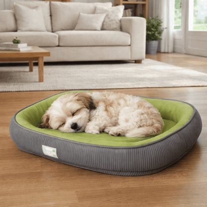 toutou adoucie dans couchage pour chiens imperméable