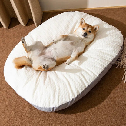 toutou alaise dans matelas déhoussable pour chien