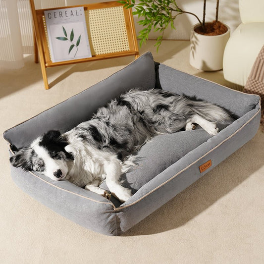 toutou allonger confortablement dans couchages pour chien