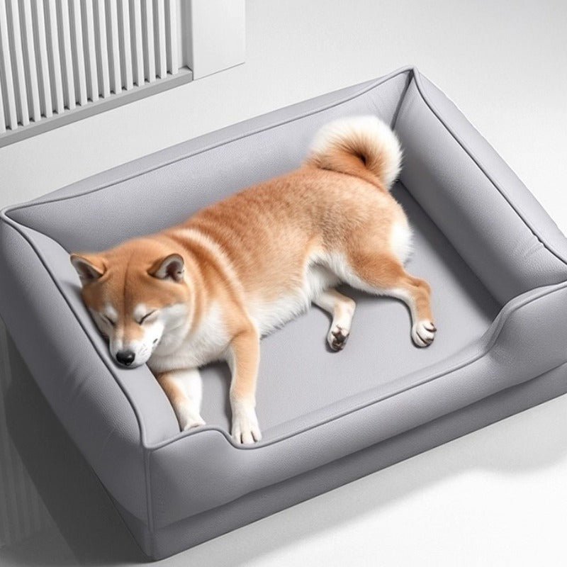 toutou allonger dans canape orthopédique gris pour chien