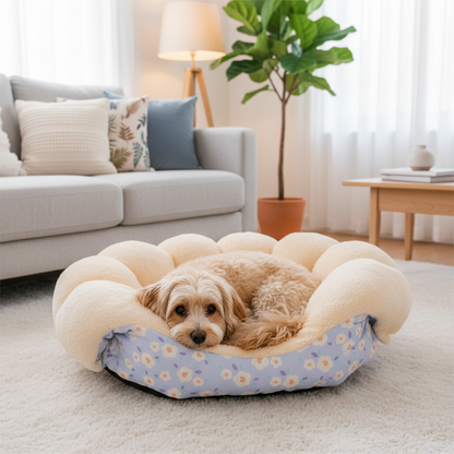 toutou allonger dans canape pour chien doux et moelleux