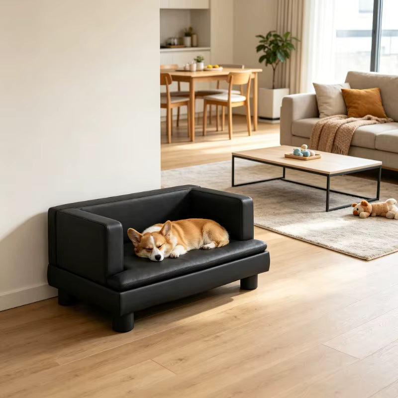 toutou allonger dans canape pour petit chien noir