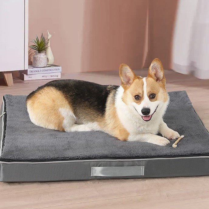 toutou allonger dans couchage pour chien gris avec poigner 