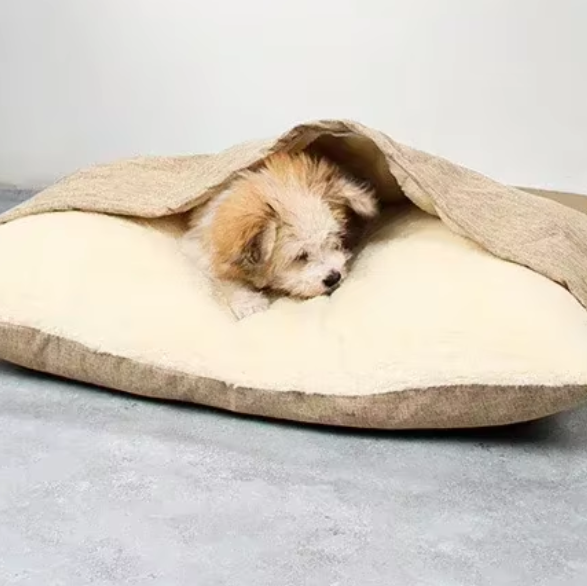 toutou allonger dans coussin chien chauffant