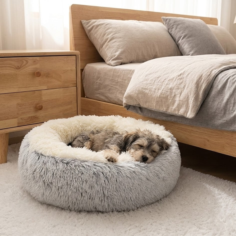 toutou allonger dans coussin chien en polaire