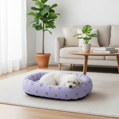 toutou allonger dans coussin chiens dans salon