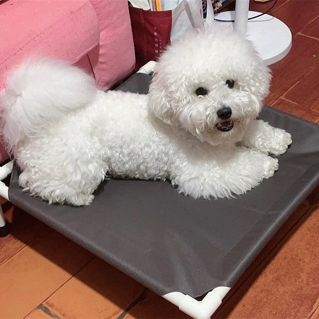toutou allonger dans lit de camp pour chien