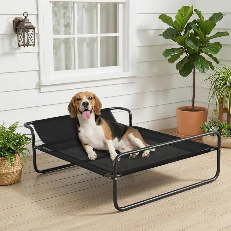 toutou allonger dans lit de camping pour chien