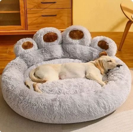toutou allonger dans lit pour chien pattes douce 