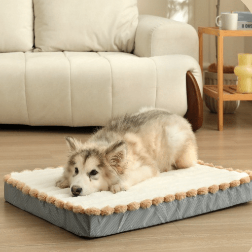 toutou allonger dans matelas pour chien à mémoire de forme