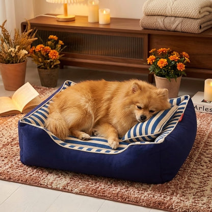 toutou allonger dans son canape pour chien déhoussable