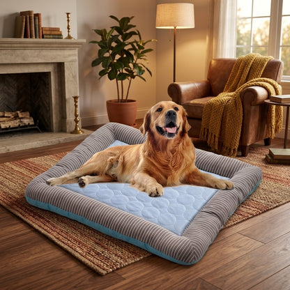 toutou_allonger_dans_tapis_rafraichissant_chien_doux_ dans salon