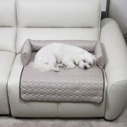 toutou allonger dans tapis rafraichissant chien gris