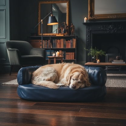 toutou allonger sur banquette chien simili cuir bleu fonce