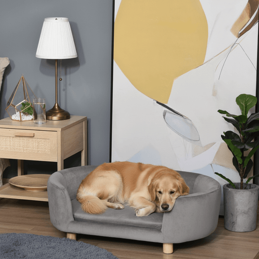 toutou allonger sur canapé pour grand chien
