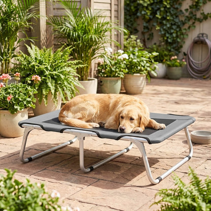 toutou allonger sur lit pliant chien dans jardin de la maison 