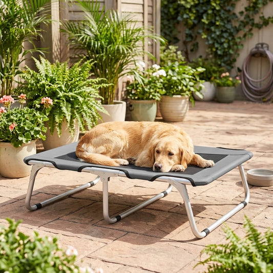 toutou allonger sur lit pliant chien dans jardin de la maison 