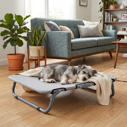 toutou allonger sur lit pliant pour chien