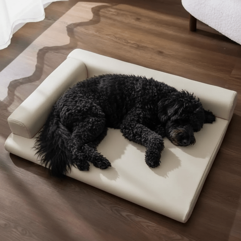toutou allonger sur matelas orthopédique pour chien