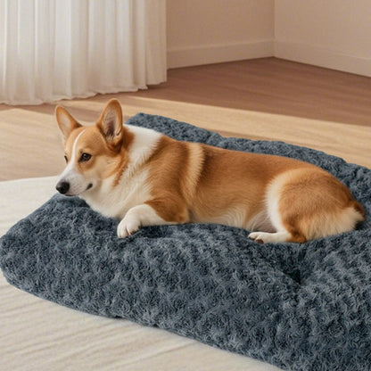 toutou allonger sur tapis pour chien lavable