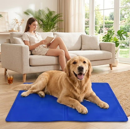 toutou_allonger_sur_tapis_rafraichissant_chien_a_cote_de_la_maitresse