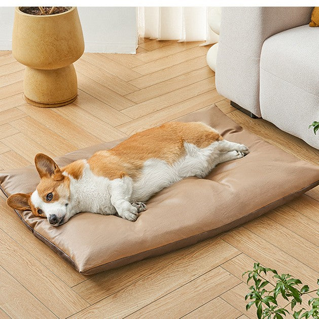 toutou allonger sur tapis rafraichissant chien anti poil facile a nettoyer 