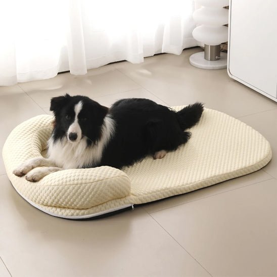 toutou allonger sur tapis rafraichissant chien beige